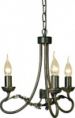 Потолочный Светильник Elstead Olivia ( Ov3 Blk/Gold )