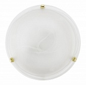 Настенно-Потолочный Светильник Eglo 7183 Salome