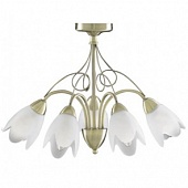 Люстра ARTE Lamp A4900PL-5AB