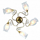 Люстра ARTE Lamp A9289PL-5GO Mughetto