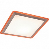 Люстра ALTALUSSE INL-9357C-24 Orange
